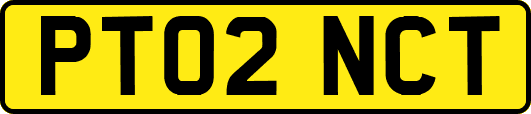 PT02NCT