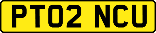 PT02NCU
