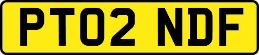 PT02NDF