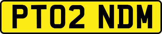 PT02NDM