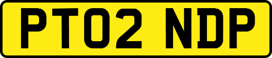 PT02NDP