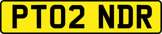 PT02NDR