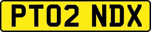 PT02NDX