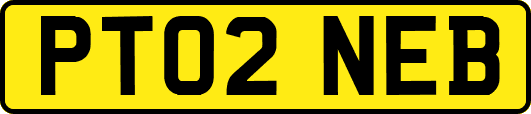 PT02NEB