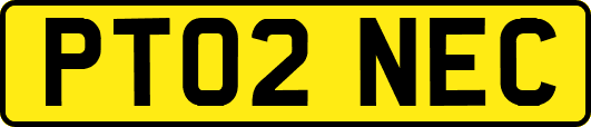 PT02NEC