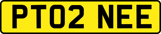 PT02NEE