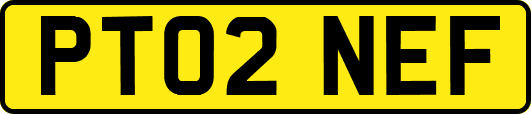 PT02NEF