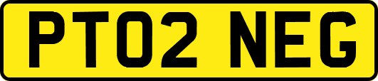PT02NEG