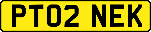PT02NEK