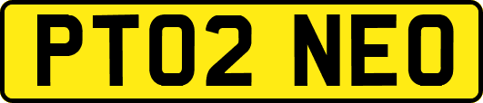 PT02NEO