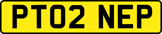 PT02NEP
