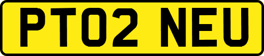 PT02NEU