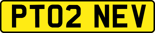 PT02NEV
