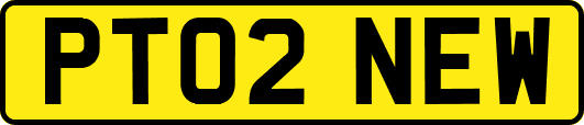PT02NEW