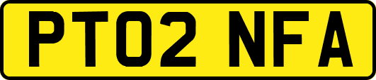 PT02NFA