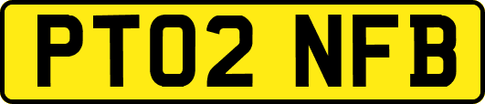 PT02NFB