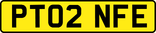 PT02NFE