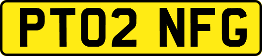 PT02NFG