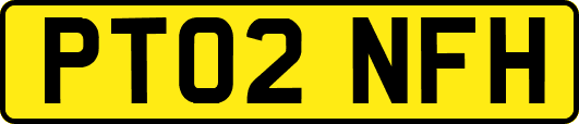 PT02NFH