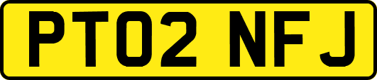 PT02NFJ