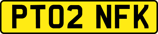 PT02NFK