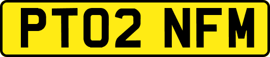 PT02NFM