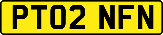 PT02NFN