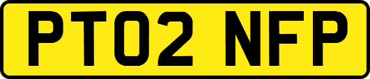 PT02NFP