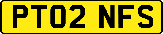 PT02NFS