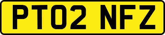 PT02NFZ
