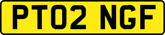 PT02NGF