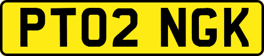 PT02NGK