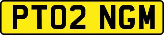 PT02NGM