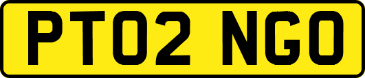 PT02NGO