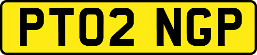PT02NGP