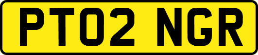 PT02NGR