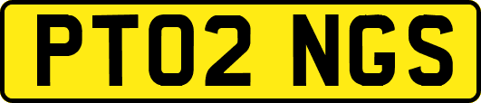 PT02NGS
