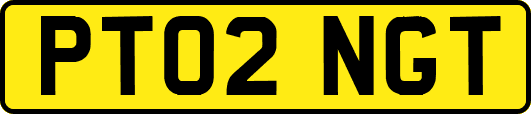 PT02NGT