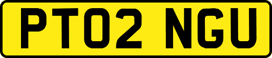 PT02NGU