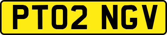 PT02NGV