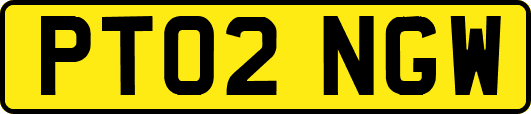 PT02NGW