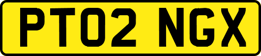 PT02NGX