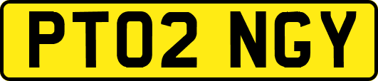 PT02NGY