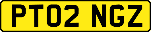 PT02NGZ