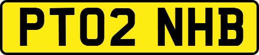 PT02NHB