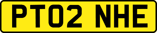 PT02NHE
