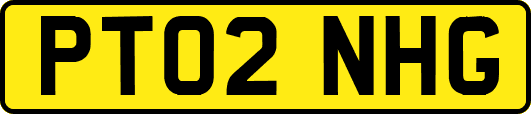 PT02NHG