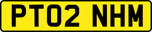 PT02NHM