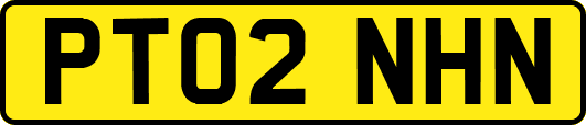 PT02NHN