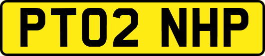 PT02NHP